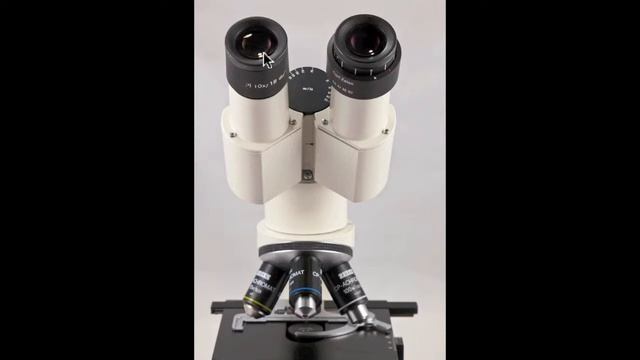 How to Use a Microscope смотреть онлайн