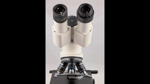 How to Use a Microscope