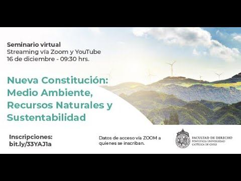 Nueva constitución: medio ambiente, recursos naturales y sustentabilidad смотреть онлайн