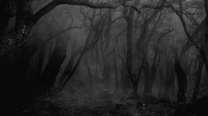 Grima - Blood on the Snow