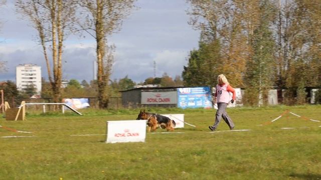 Тайм Сарынь Гримм,14 мес. описание смотреть онлайн