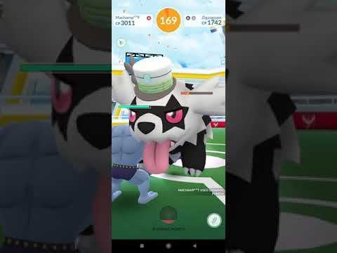 Event Galarian Zigzagoon смотреть онлайн