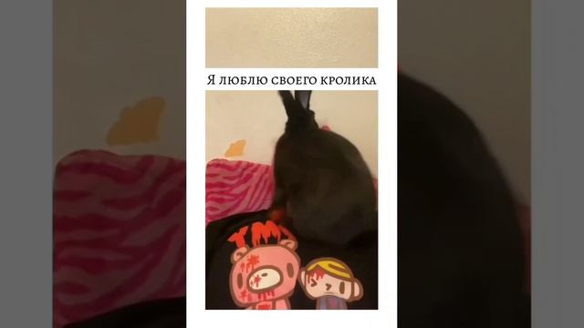 А у кролика одно на уме 🤣🤣🤣🤣🤣 смотреть онлайн
