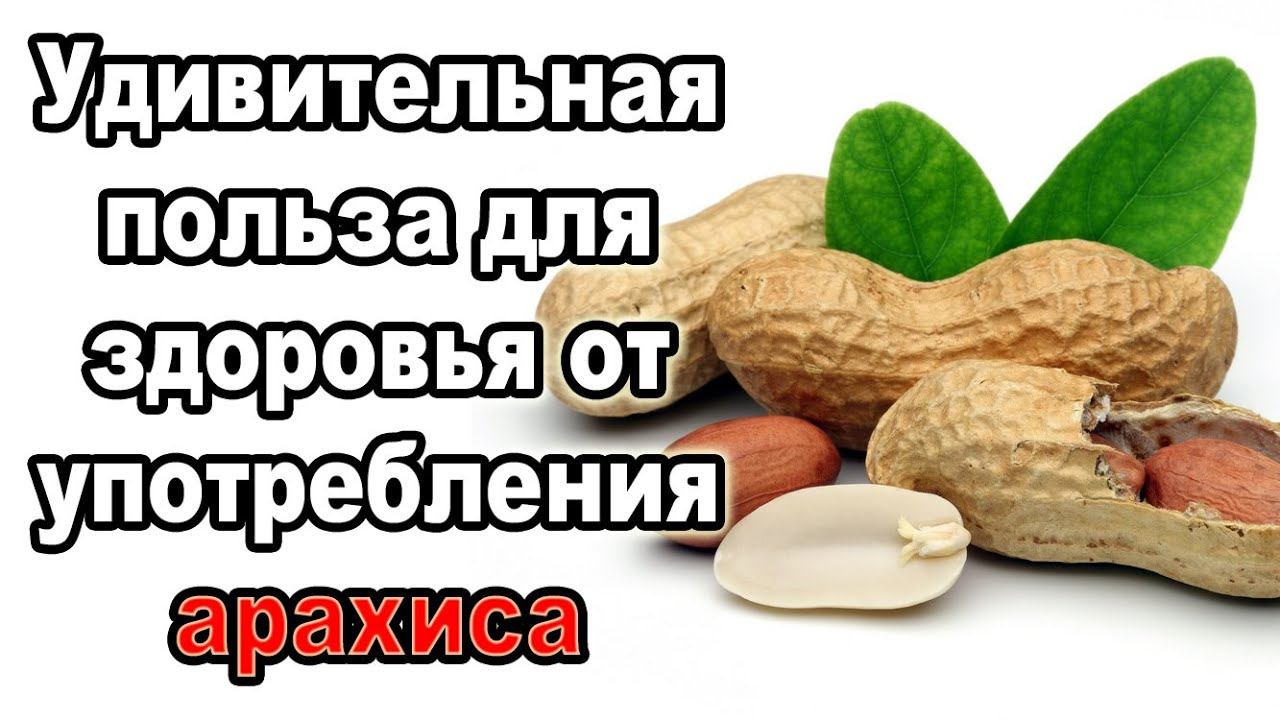 Польза ежедневного употребления арахиса и арахисового масла для здоровья сосудов смотреть онлайн