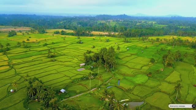 Коран сура Аль-Вокыа видео 4к Миншави -Minshawiy