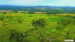 Коран сура Аль-Вокыа видео 4к Миншави -Minshawiy