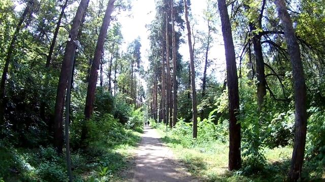 Almaty botanical garden смотреть онлайн
