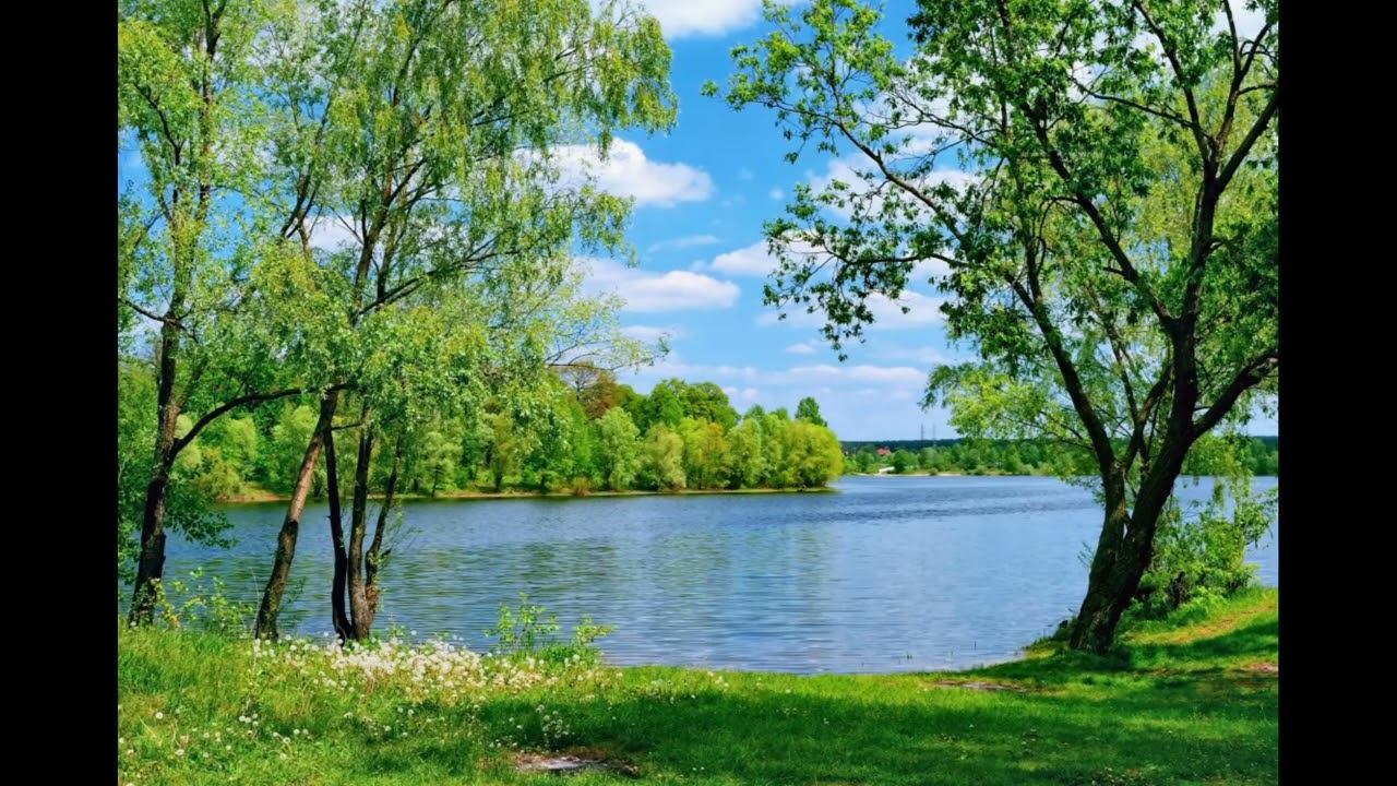 Слова смотреть онлайн