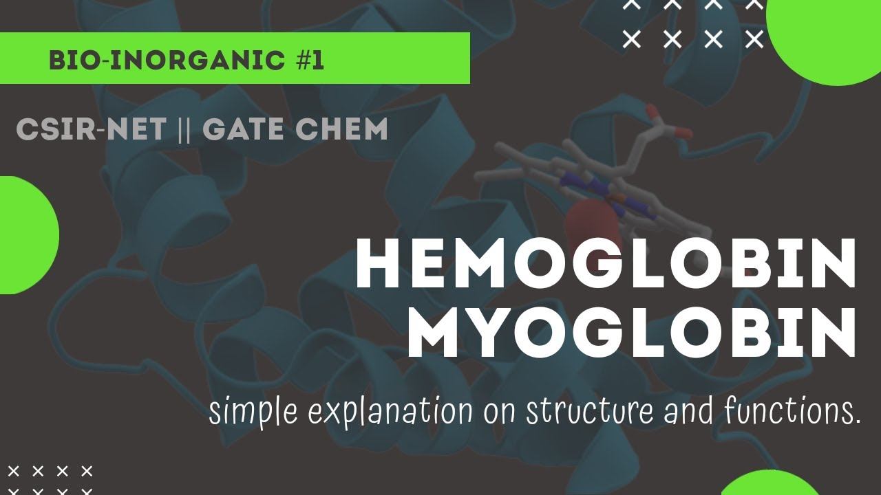 Hemoglobin~myoglobin || porphyrin ring || bioinorganic || Chemicos academy смотреть онлайн