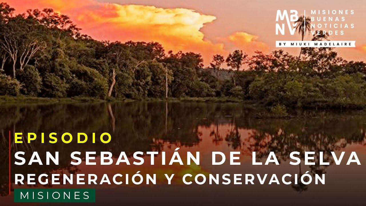 RESERVA SAN SEBASTIÁN DE LA SELVA | MISIONES BUENAS NOTICIAS VERDES смотреть онлайн
