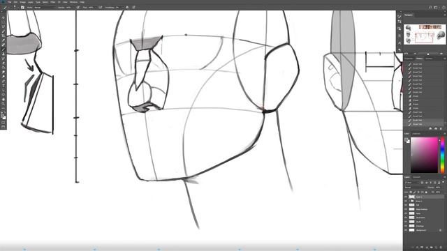 Term 2 - Anatomy 1