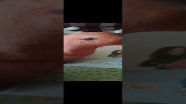 капибара играет в скулбой рановей 4 часть: новый батя