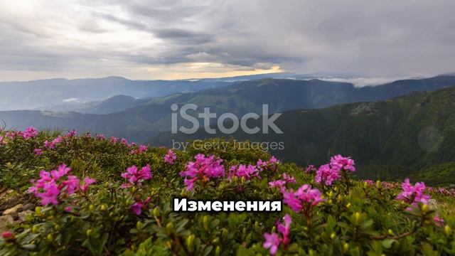 Магнитное поле Солнца меняет полюса