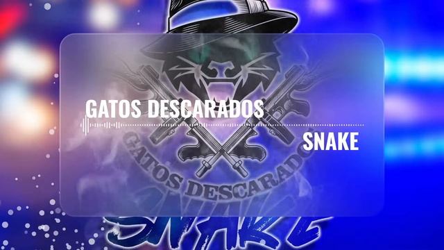 Gatos Descarados - Snake смотреть онлайн