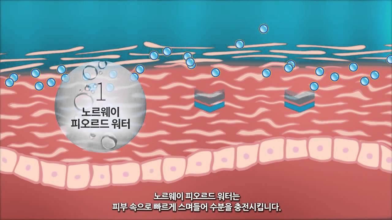 ARTISTRY HYDRA V KOREA VERSION II смотреть онлайн