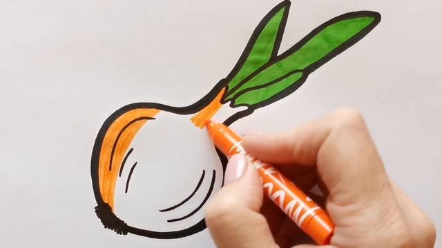 Как нарисовать ЛУКОВИЦУ / раскраска для детей / Нарисуй Ка смотреть онлайн