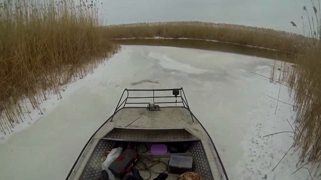 4 августа 2020 г. смотреть онлайн