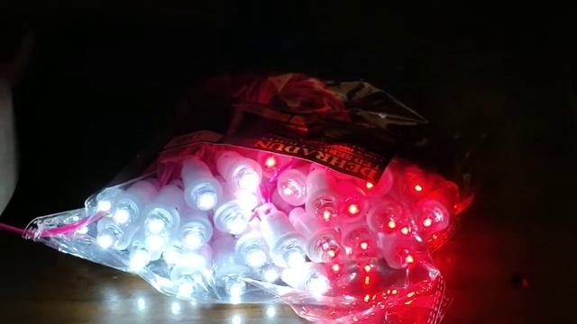 DotCap Red & White 50 led bulbs l Dehradun Led Series Lights l Diwali Decoration смотреть онлайн