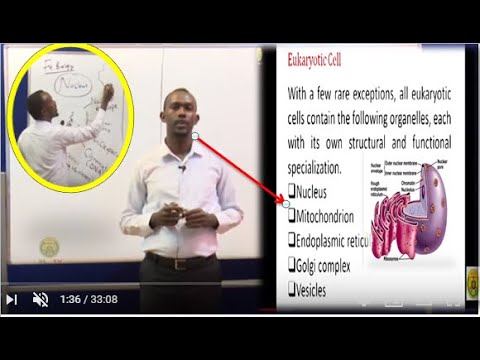 Casharka 02 | Biology Form Four | Ch7 © SLNTV смотреть онлайн