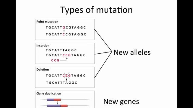 Mutation смотреть онлайн