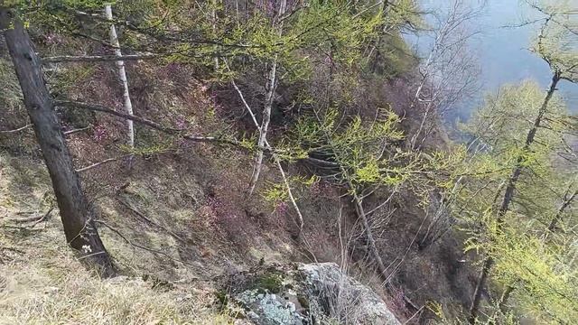 Советская гавань смотреть онлайн