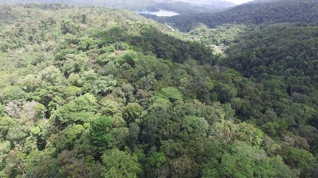Lake Yaxhá, Chiapas-Liseth Pérez (TU Braunschweig) and the Selva Lacandona Science Team смотреть онлайн