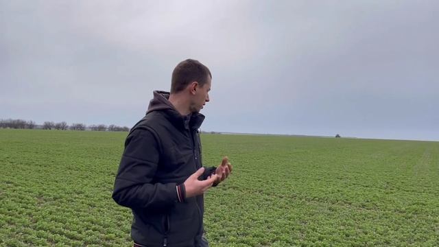 Внесення гербіциду по люцерні смотреть онлайн