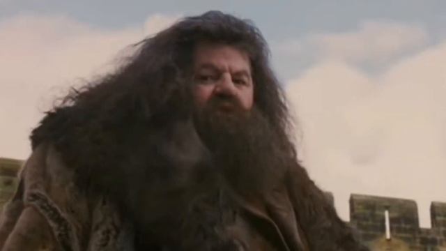 Гарри Поттер и философский камень кратко смотреть онлайн