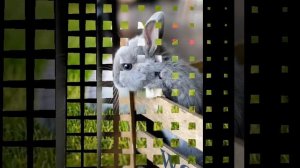 Таков, как есть, во имя Крови,
За нас пролитой на кресте