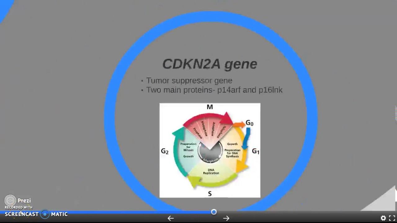 Inherited melanoma, CDKN2A mutation смотреть онлайн