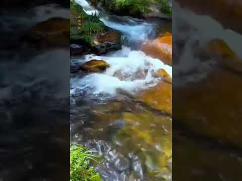 Если борошься с проблемой, значит борешься с собой смотреть онлайн