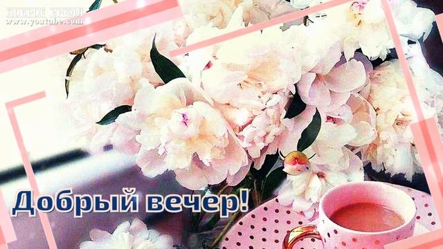 КРАСИВЫЕ ПЕСНИ ОБО ВСЁМ..ПО-ПРЕЖНЕМУ_ПОЁМ! ...ДОБРЫЙ ВЕЧЕР!! смотреть онлайн