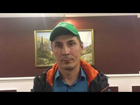 Первые впечатления после презентации организации смотреть онлайн
