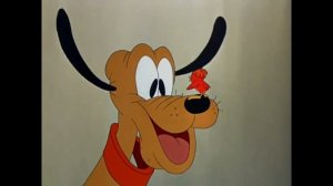 Мультфильм Плуто // Птенец Плуто