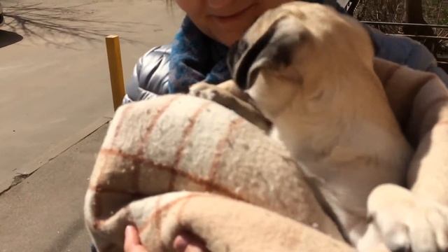 Первые лучи солнца смотреть онлайн