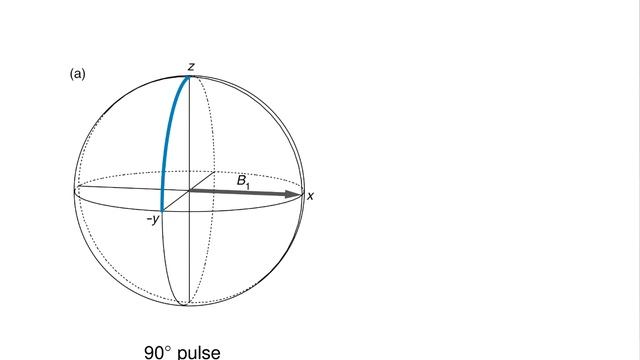 Lecture 2 - Chapter 4: The vector model by Dr James Keeler: "Understanding NMR spectroscopy" смотреть онлайн