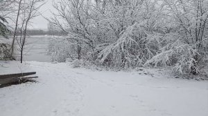 Белым снегом.