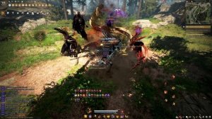 Black Desert Хассашин Фарм Пепельный лес 1 фонарь