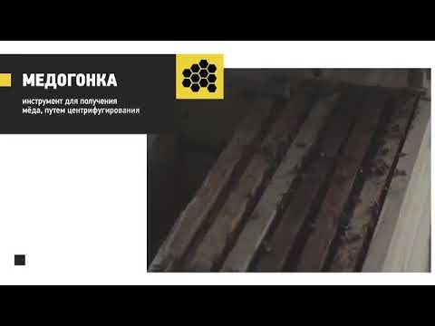 Производство и откачка меда🍯🐝 смотреть онлайн