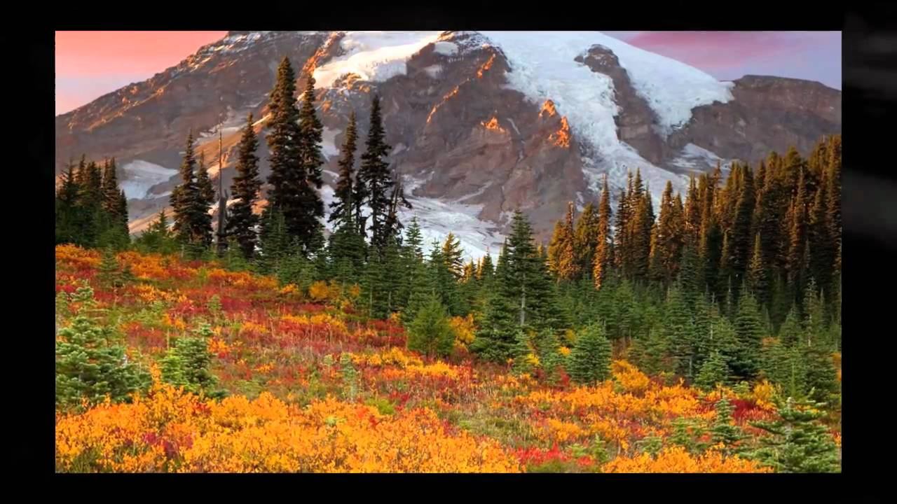 РАдость приРОДы - Мидгард.wmv смотреть онлайн