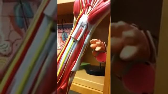 A смотреть онлайн