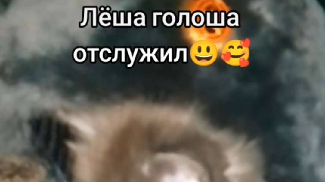 roblox смотреть онлайн