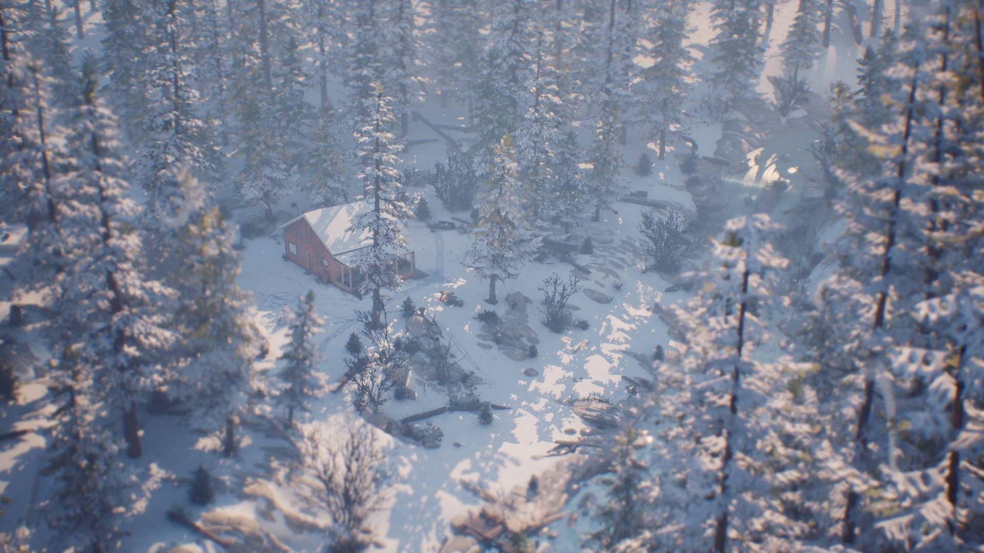 Life is Strange 2 #5 Юный падаван