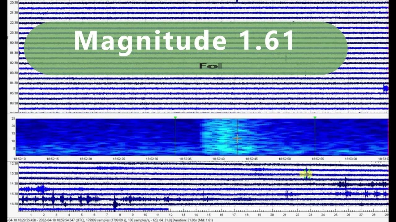Yellowstone National Park Quake Report and Bears Wake From Hibernation смотреть онлайн