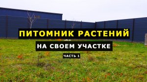 ПИТОМНИК РАСТЕНИЙ с НУЛЯ на СВОЕМ УЧАСТКЕ. Часть 1 - С чего начать. Первые шаги и цели