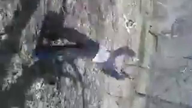 баяман 95 орток айылы смотреть онлайн