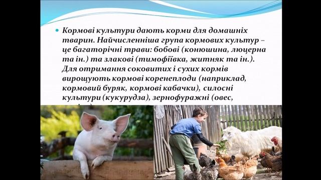 Роль рослин у природі та в житті людини. смотреть онлайн