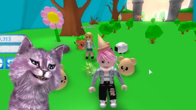 МЫШЬ ИЛИ ЯЙЦО?! Я ТРЕНЕР ПИТОМЦЕВ В РОБЛОКС roblox Pet Trainer смотреть онлайн