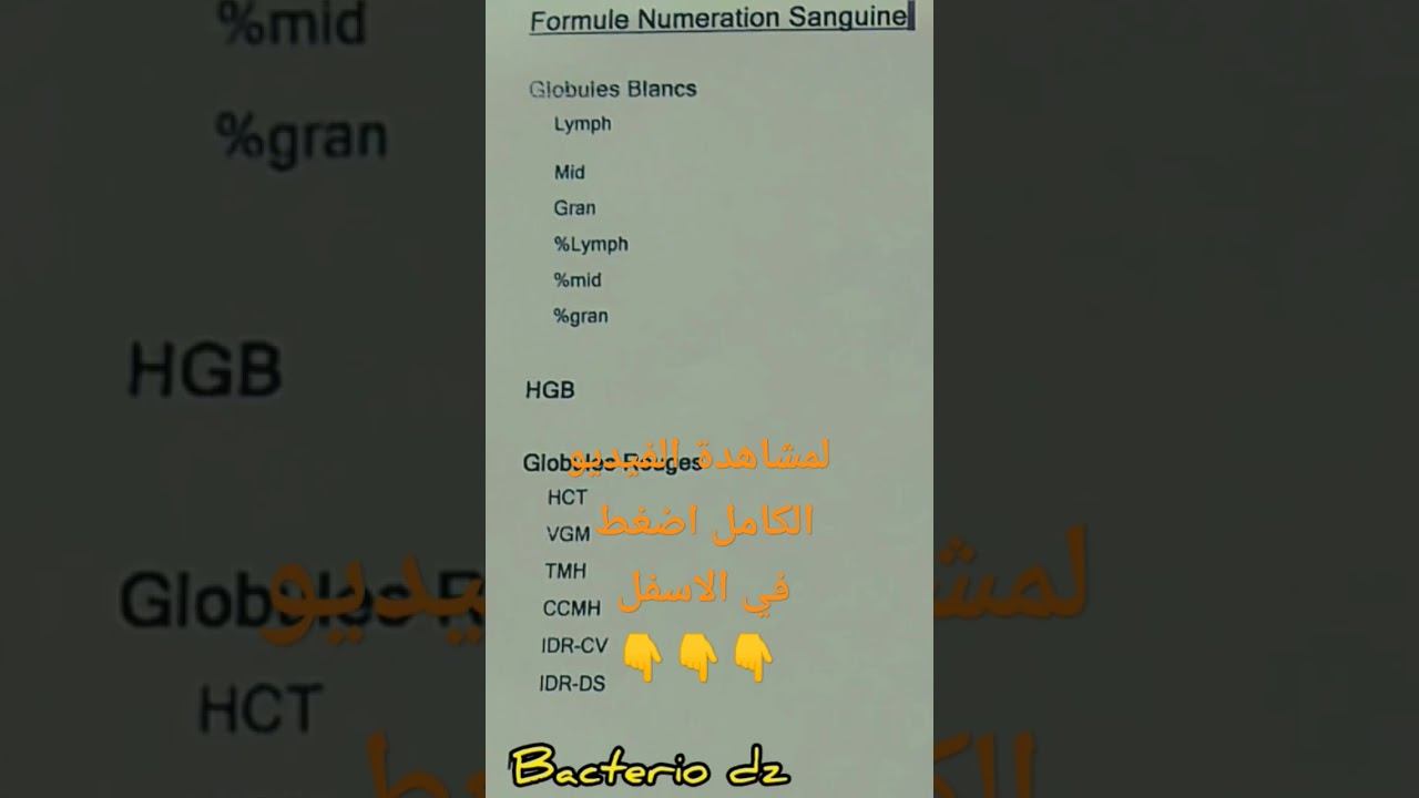 كيفاش تقرأ تحليل fns complète تحليل تعداد الدم الشامل смотреть онлайн