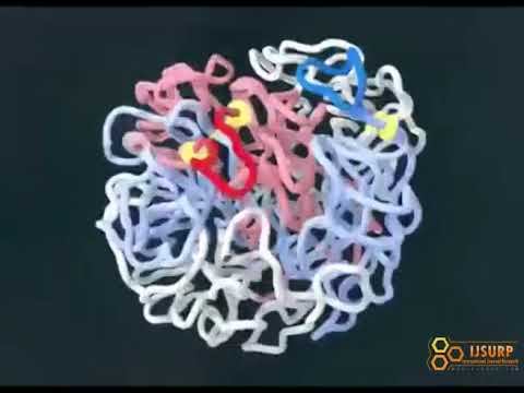Tracking the human genome in 4D смотреть онлайн